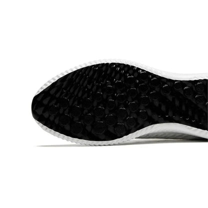 Tommaso - Lucia Verden