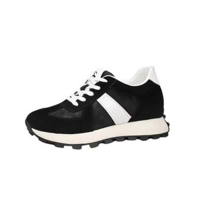 Alexander - Lucia Verden