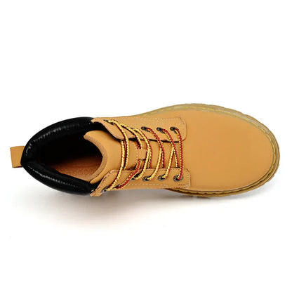 Tomas - Lucia Verden