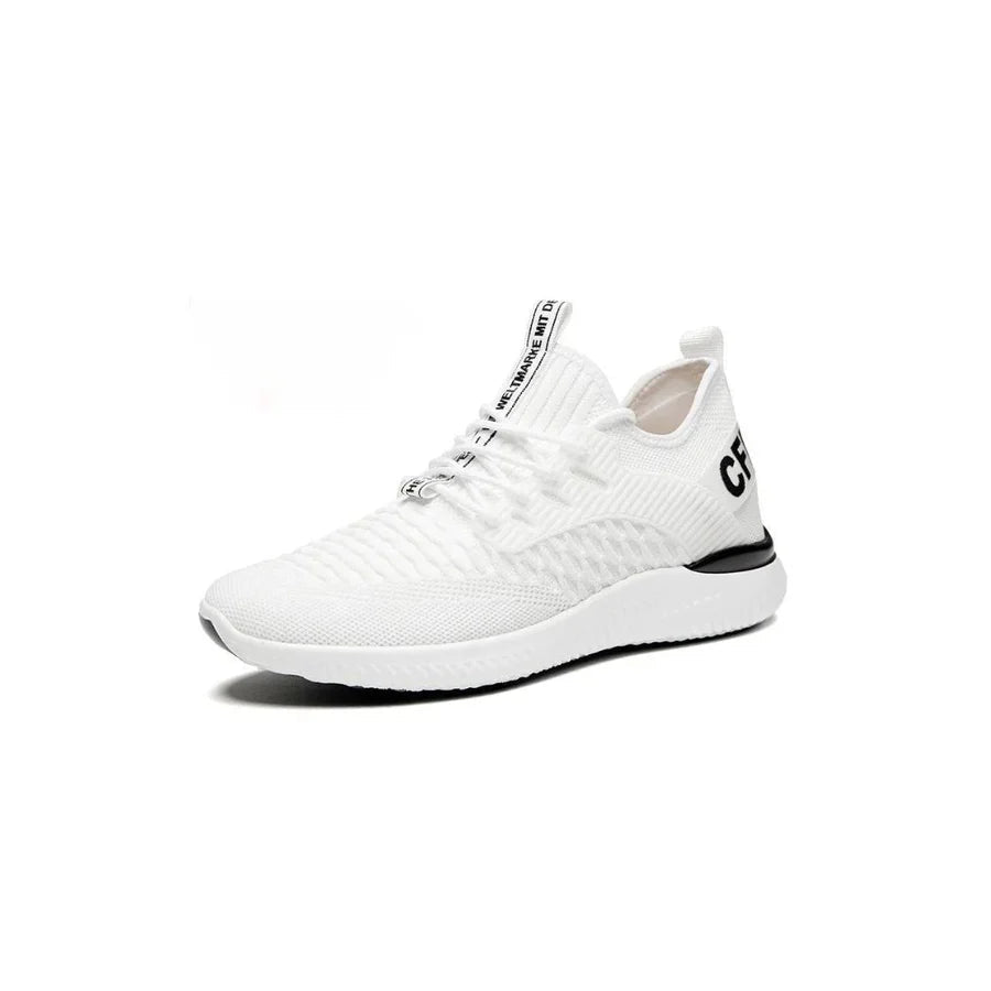 Tommaso - Lucia Verden