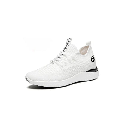 Tommaso - Lucia Verden