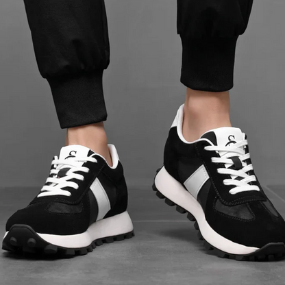 Alexander - Lucia Verden