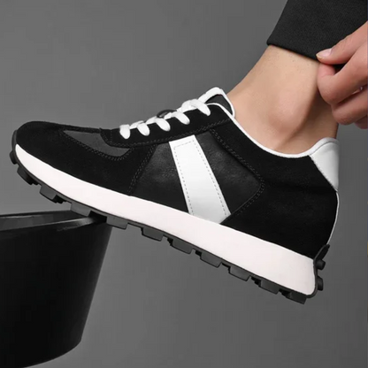 Alexander - Lucia Verden