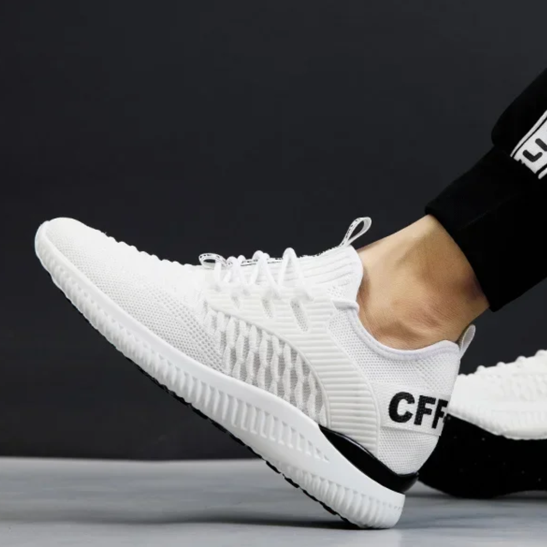 Tommaso - Lucia Verden