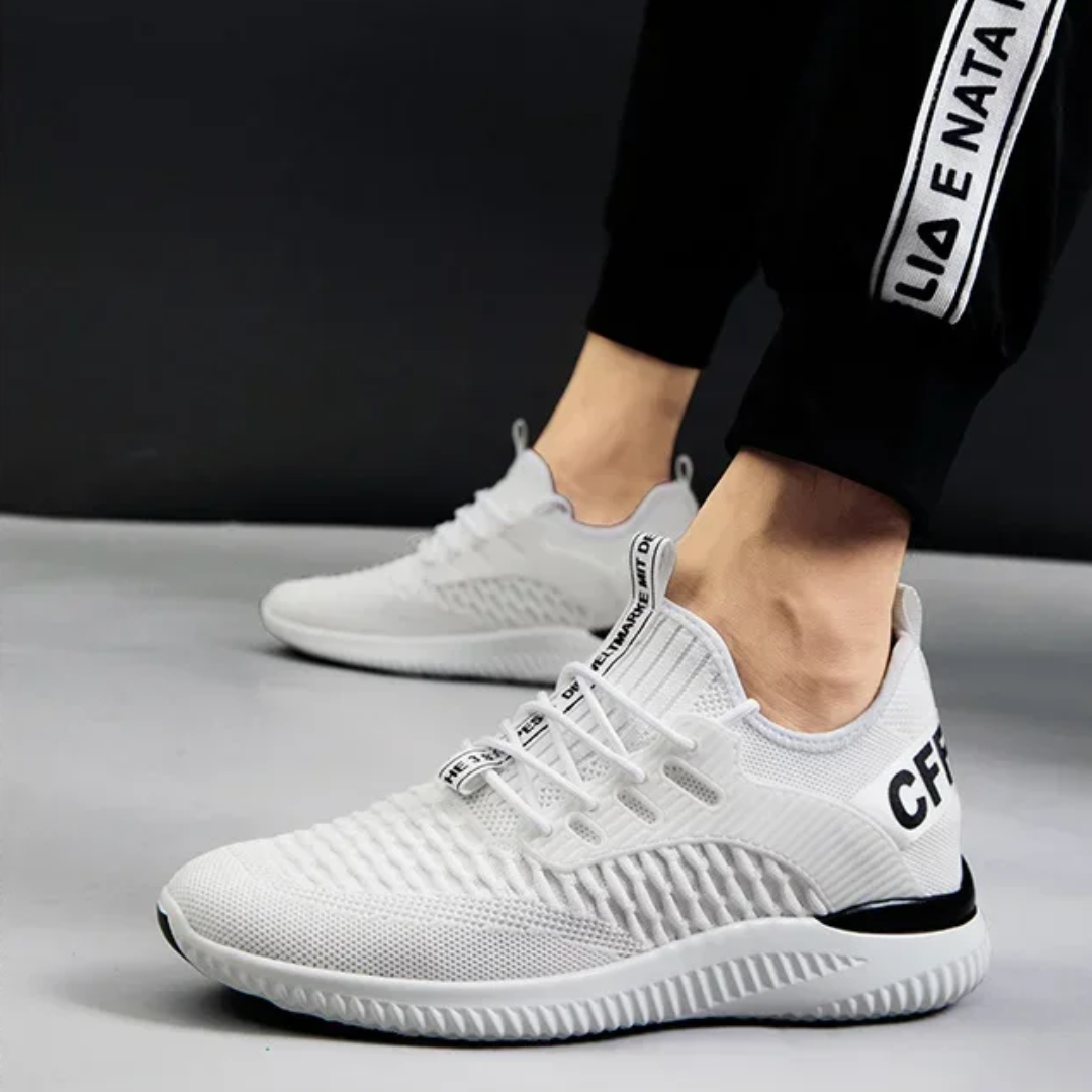 Tommaso - Lucia Verden